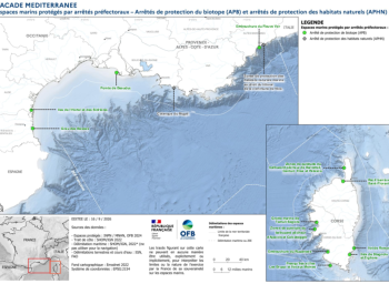 Espaces marins protégés par arrêtés préfectoraux (APB et APHN) - Méditerranée