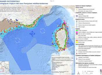 Enjeux écologiques de la façade Méditerranée