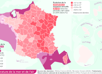 Changement climatique - Température de l'air et de la mer