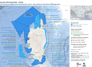 Aires Marines Protégées (AMP)- Corse (Sites exclusivement marins, mixtes et lagunaires)