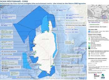 Gestionnaires des aires marines protégées (AMP) - Corse