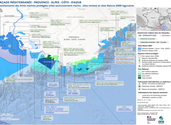 Gestionnaires des aires marines protégées (AMP) - PACA