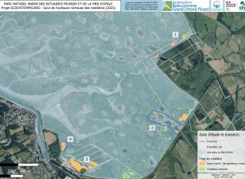 Suivi de l'avifaune nicheuse des roselières subhalophiles en fond de baie de Somme (2025-2027) - carte de la zone d'étude et des transects
