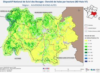 DNSB_Densité_haies_BD_Haies V1_REG  AUVERGNE-RHONE-ALPES
