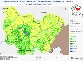 DNSB_Densité_haies_BD_Haies V1_REG  BOURGOGNE-FRANCHE-COMTE