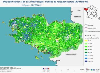DNSB_Densité_haies_BD_Haies V1_REG  BRETAGNE