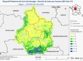 DNSB_Densité_haies_BD_Haies V1_REG  CENTRE-VAL-DE-LOIRE