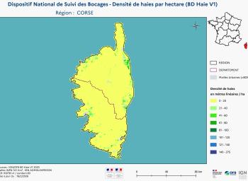 DNSB_Densité_haies_BD_Haies V1_REG  CORSE