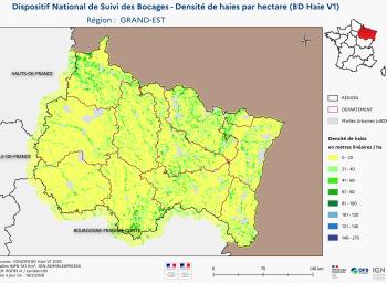DNSB_Densité_haies_BD_Haies V1_REG  GRAND-EST