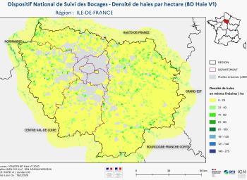 DNSB_Densité_haies_BD_Haies V1_REG  ILE-DE-FRANCE