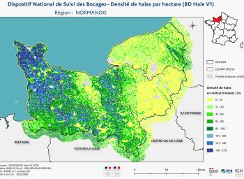 DNSB_Densité_haies_BD_Haies V1_REG  NORMANDIE