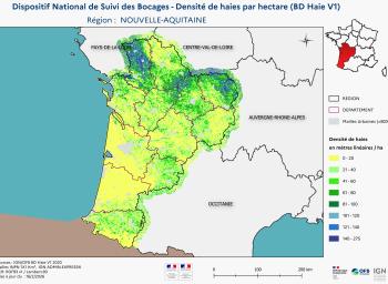 DNSB_Densité_haies_BD_Haies V1_REG  NOUVELLE-AQUITAINE