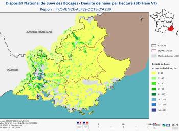 DNSB_Densité_haies_BD_Haies V1_REG  PROVENCE-ALPES-COTE-D'AZUR