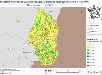 DNSB_Densité_haies_BD_Haies V1_dpt  HAUT-RHIN