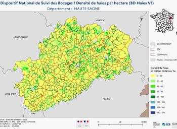 DNSB_Densité_haies_BD_Haies V1_dpt  HAUTE-SAONE