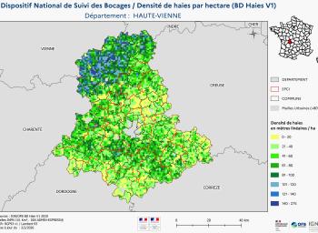 DNSB_Densité_haies_BD_Haies V1_dpt  HAUTE-VIENNE