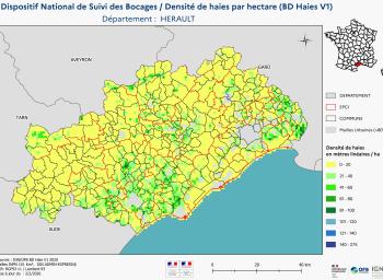 DNSB_Densité_haies_BD_Haies V1_dpt  HERAULT