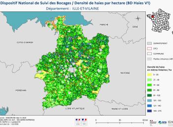 DNSB_Densité_haies_BD_Haies V1_dpt  ILLE-ET-VILAINE