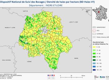 DNSB_Densité_haies_BD_Haies V1_dpt  INDRE-ET-LOIRE