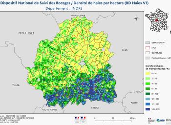 DNSB_Densité_haies_BD_Haies V1_dpt  INDRE