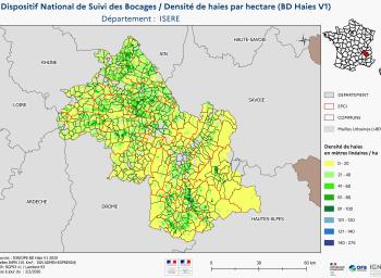 DNSB_Densité_haies_BD_Haies V1_dpt  ISERE