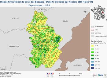 DNSB_Densité_haies_BD_Haies V1_dpt  JURA
