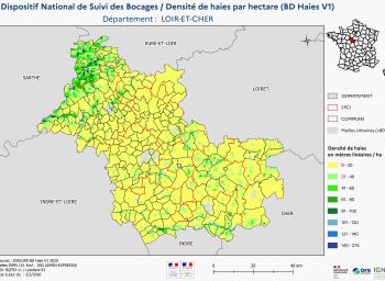 DNSB_Densité_haies_BD_Haies V1_dpt  LOIR-ET-CHER