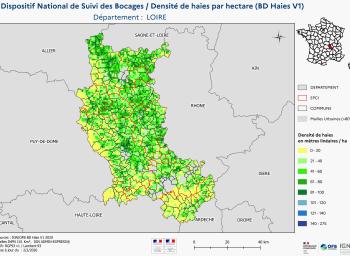 DNSB_Densité_haies_BD_Haies V1_dpt  LOIRE