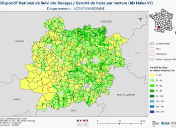DNSB_Densité_haies_BD_Haies V1_dpt  LOT-ET-GARONNE