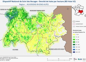 DNSB_Densité_haies_BD_Haies V2_REG  AUVERGNE-RHONE-ALPES