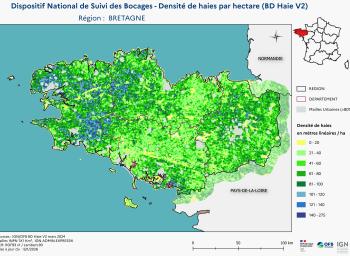 DNSB_Densité_haies_BD_Haies V2_REG  BRETAGNE