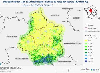 DNSB_Densité_haies_BD_Haies V2_REG  CENTRE-VAL-DE-LOIRE