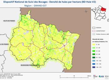 DNSB_Densité_haies_BD_Haies V2_REG  GRAND-EST
