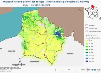 DNSB_Densité_haies_BD_Haies V2_REG  HAUTS-DE-FRANCE
