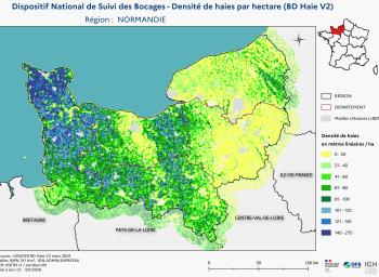 DNSB_Densité_haies_BD_Haies V2_REG  NORMANDIE