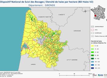 DNSB_Densité_haies_BD_Haies V2_dpt  GIRONDE
