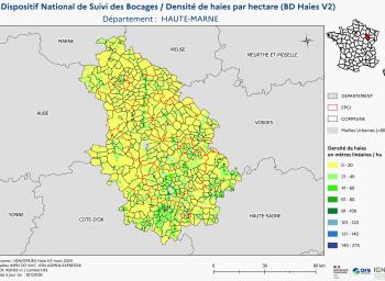 DNSB_Densité_haies_BD_Haies V2_dpt  HAUTE-MARNE