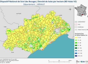 DNSB_Densité_haies_BD_Haies V2_dpt  HERAULT