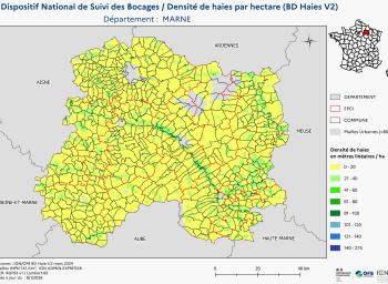 DNSB_Densité_haies_BD_Haies V2_dpt  MARNE