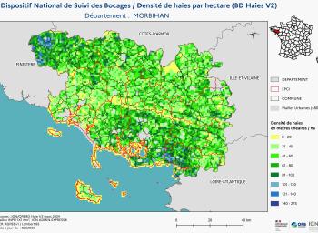DNSB_Densité_haies_BD_Haies V2_dpt  MORBIHAN