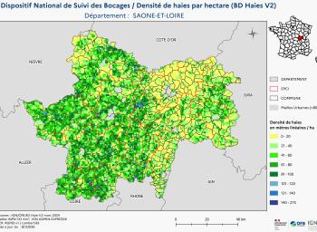 DNSB_Densité_haies_BD_Haies V2_dpt  SAONE-ET-LOIRE