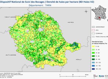 DNSB_Densité_haies_BD_Haies V2_dpt  TARN