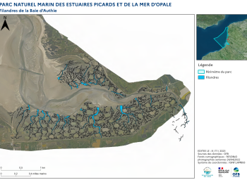 Cartographie des filandres (2023) - Estuaire de l'Authie