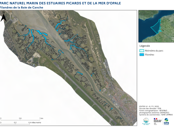 Cartographie des filandres (2023) - Estuaire de la Canche