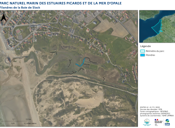 Cartographie des filandres (2023) - Estuaire de la Slack