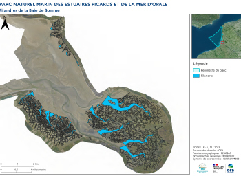 Cartographie des filandres (2023) - Estuaire de la Somme