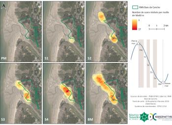 Carte de pression d'observation en fonction des stades de marée en Baie de Canche nord durant l’hiver 2021-2022