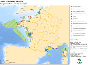 Catégories d'aires marines protégées de France métropolitaine (2025)
