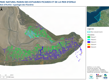 Cartographie des filandres : proposition d'une typologie (2023) - Estuaire de l'Authie