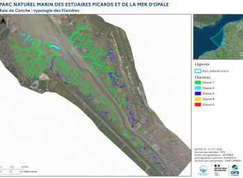 Cartographie des filandres : proposition d'une typologie (2023) - Estuaire de la Canche